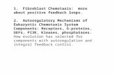 1. Fibroblast Chemotaxis: more about positive feedback loops. 2. Autoregulatory Mechanisms of Eukaryotic Chemotaxis System Components: Receptors, G- proteins,