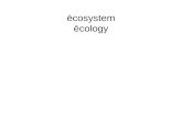 Ēcosystem ēcology. THE ECOSYSTEM CONCEPT ecosystem An ecosystem is a spatially explicit unit of Earth that includes all of the organisms, along with.