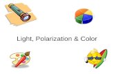 Light, Polarization & Color. The nature of an object’s color What are examples of color? How can we tell one shade of a color from another? Do objects.