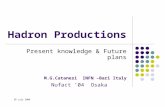 30 July 2004 Hadron Productions Present knowledge & Future plans M.G.Catanesi INFN –Bari Italy Nufact ’04 Osaka.