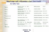 Review of Plants Collected 4/24/13 1.English Daisy (p. 282)Bellis perennisAster FamilyAsteraceae 2.Beaked Hazelnut (p. 92) Corylus cornutaBirch Family.