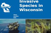 Aquatic Invasive Species in Wisconsin Name Location Date.