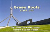 Green Roofs CDAE 170 By: Holly Crimmins, Teddy Dobbin & Justin Geibel.