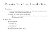 Protein Structure: Introduction Protein: Pictorial representations we are familiar with are schematic models, simplified representations. Model we know.