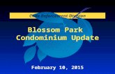 Blossom Park Condominium Update Code Enforcement Division February 10, 2015.