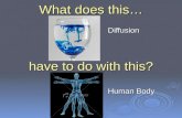 What does this… have to do with this? Diffusion Human Body.