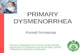 PRIMARY DYSMENORRHEA Kanadi Sumapraja Division of Reproductive Immuno-endocrinology Department of Obstetrics and Gynecology Faculty of Medicine University.