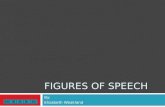 FIGURES OF SPEECH By: Elizabeth Weakland. Figures of Speech  Identifying Figures of Speech in Context  Sixth Grade Language Arts  After following this.