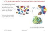 14. Lecture WS 2006/07Bioinformatics III1 V14 Hybrid-methods for macromolecular complexes Structural Bioinformatics (a) Integration of structures of various.