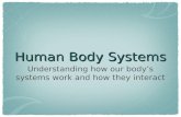 Human Body Systems Understanding how our body’s systems work and how they interact.