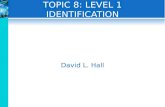 T OPIC 8: L EVEL 1 I DENTIFICATION David L. Hall.