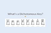 What’s a Dichotomous Key?. It’s a tool that scientists use to help them find the names of insects, trees, and many other things. Dichotomous Key? What’s.