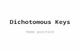 Dichotomous Keys Home practice. Dichotomous Keys Now that we know how organisms are classified. We know some of the characteristics that make up each.