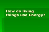 How do living things use Energy?. Objective:  Where do living things get energy and how do they use it?