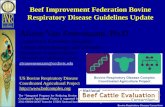 Bovine Respiratory Disease Consortium Beef Improvement Federation Bovine Respiratory Disease Guidelines Update NBCEC Brown Bagger 10/21/15 Alison Van Eenennaam,