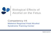 MRFASTC Biological Effects of Alcohol on the Fetus Competency #4 Midwest Regional Fetal Alcohol Syndrome Training Center.