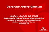Coronary Artery Calcium Matthew Budoff, MD, FACC Endowed Chair of Preventive Medicine Professor of Medicine, UCLA Medical Center Harbor-UCLA Medical Center.