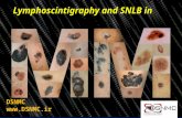 Lymphoscintigraphy and SNLB in DSNMC .
