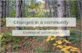 Changes in a community Ecological succession Unit 3 Topic 6.