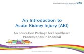 An Introduction to Acute Kidney Injury (AKI) An Education Package for Healthcare Professionals in Medical Directorates STH Acute Kidney Injury (AKI) Project1.