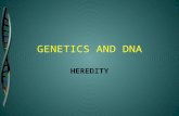 GENETICS AND DNA HEREDITY. CELL Cells are the building blocks of human body. Different cells have many different functions. They all contain the same.