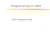 1 Programming In UNIX Perl Programming. 2 Perl Overview zHow to use Perl, quickly: yStructure ySyntax yData yStatements