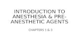 INTRODUCTION TO ANESTHESIA & PRE- ANESTHETIC AGENTS CHAPTERS 1 & 3.