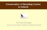 Conservation of Breeding Curlew in Ireland Dr Anita Donaghy Senior Conservation Officer, BirdWatch Ireland.