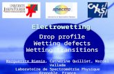 Electrowetting Drop profile Wetting defects Wetting transitions Marguerite Bienia, Catherine Quilliet, Marcel Vallade Laboratoire de Spectrométrie Physique.