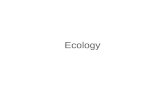 Ecology. Section 3-1 Figure 3-2 Ecological Levels of Organization Go to Section:
