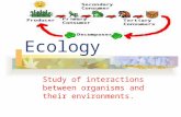 Study of interactions between organisms and their environments. Ecology.