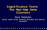 Significance Tests for Max-Gap Gene Clusters Rose Hoberman joint work with Dannie Durand and David Sankoff.