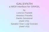 GALSYNTH a WEB interface for GRASIL by Lorenzo Paoletti Amedeo Petrella Danilo Selvestrel (INAF-PD) Speaker Gian Luigi Granato (INAF-PD)