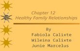 Chapter 12 Healthy Family Relationships By Fabiola Calixte Wileina Calixte Junie Marcelus.