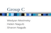Group C Wedyan Meshreky Helen Naguib Sharon Naguib.