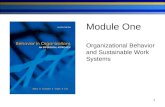 1 Module One Organizational Behavior and Sustainable Work Systems.