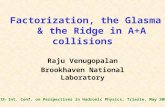 Factorization, the Glasma & the Ridge in A+A collisions Raju Venugopalan Brookhaven National Laboratory VIth Int. Conf. on Perspectives in Hadronic Physics,