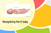 L/O/G/O. Out lines:  Objective  Introduction  Assessment of the infant  Physical assessment  Skin  Respiration  Body temperature  Cardiovascular.