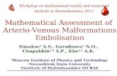 1 Mathematical Assessment of Arterio-Venous Malformations Embolisation 1 Moscow Institute of Physics and Technology 2 Novosibirsk State University 3 Institute.