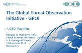 The Global Forest Observation Initiative - GFOI A GEO Flagship Douglas M. Muchoney, Ph.D. Senior Scientist for Forests, Carbon and Climate U.S. Geological.