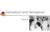 Sensation and Perception Unit 3. Sensation and Perception.