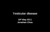 Testicular disease 19 th May 2011 Jonathan Chua.