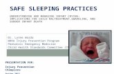 UNDERSTANDING AND MANAGING INFANT CRYING: IMPLICATIONS FOR CHILD MALTREATMENT,SWADDLING, AND SUDDEN INFANT DEATH SAFE SLEEPING PRACTICES Dr. Lynne Warda.