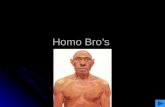 Homo Bro’s. The known fossil record of hominids, including S. tchadensis, also showing ourselves (top left) and the chimpanzee (top right). NB The species.