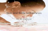 Skin and Body Membranes Dr. M. Diamond. Body membranes Function of body membranes –Cover body surfaces –Line body cavities –Form protective sheets around.