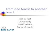 From one forest to another one ? Joël Surget CEA/Saclay DSM/DAPNIA Surget@cea.fr.