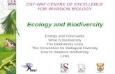DST-NRF CENTRE OF EXCELLENCE FOR INVASION BIOLOGY Ecology and Biodiversity Energy and Food webs What is biodiversity The biodiversity crisis The Convention.