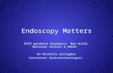 Endoscopy Matters NICE guidance dyspepsia, New build, National Context & NAEDI Dr Michelle Gallagher Consultant Gastroenterologist