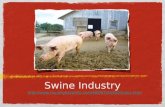Swine Industry  .