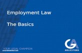 Employment Law The Basics. Introduction Purpose of today –The Basics –Recent Developments Your Pack Timings.